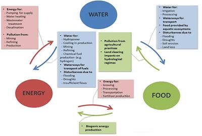 Can the Implementation of the Water-Energy-Food Nexus Support Economic Growth in the Mediterranean Region? The Current Status and the Way Forward